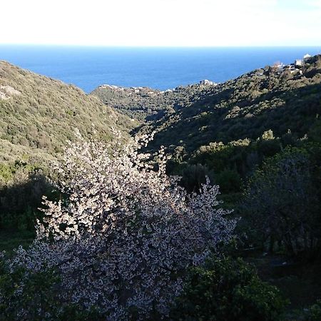 Apartmán A Tana Di A Volpe Ville-di-Pietrabugno Exteriér fotografie