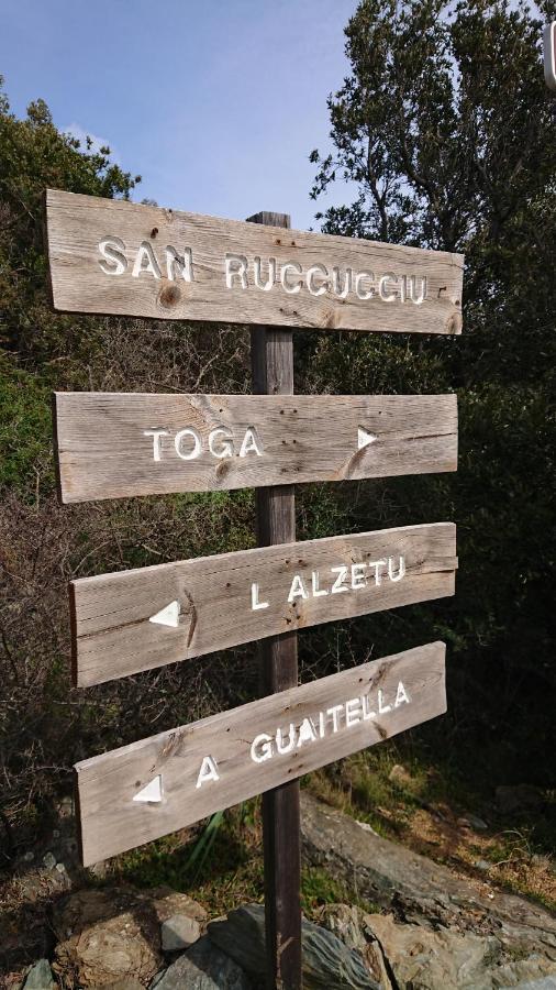 Apartmán A Tana Di A Volpe Ville-di-Pietrabugno Exteriér fotografie