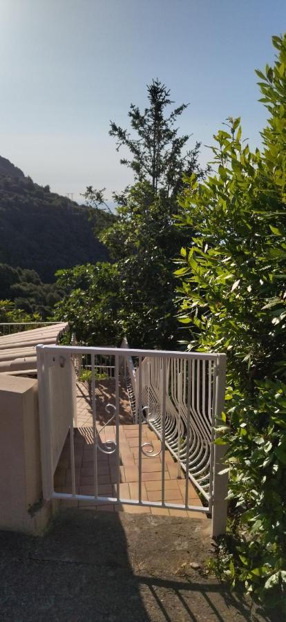 Apartmán A Tana Di A Volpe Ville-di-Pietrabugno Exteriér fotografie